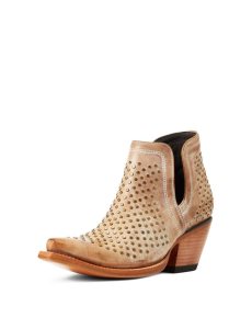 Botines Ariat Dixon Studs Western Marrom | IPQ923568