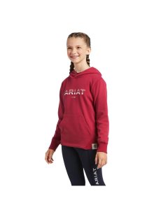 Sudadera Con Capucha Ariat 3D Logo 2.0 Rojos | HCB371425