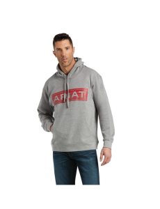 Sudadera Con Capucha Ariat Basic Sweatshirt Naranjas | TNM428651